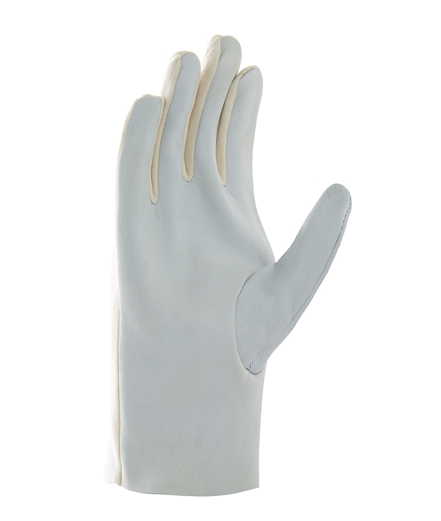 teXXor® Ziegen-/Schafsnappa-Handschuhe
TRIKOTRÜCKEN – Bild 3